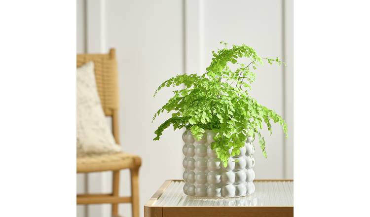 Habitat Bobble Large Planter grey 15.5cm by 16.5cm - British product