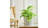 Habitat Bobble Large Planter grey 15.5cm by 16.5cm - British product