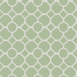 RHS Star Trellis Sage wallpaper 50cm x 10m, UK version
