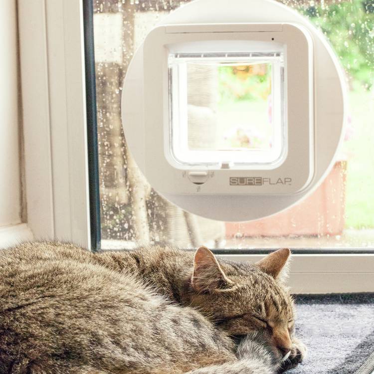 SureFlap Cat Flap Glass Mounting Adaptor White, UK version