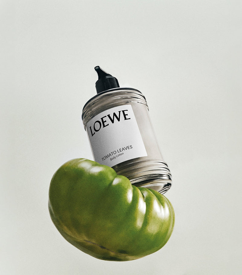 LOEWE Tomato Leaves body lotion 360ml, UK version