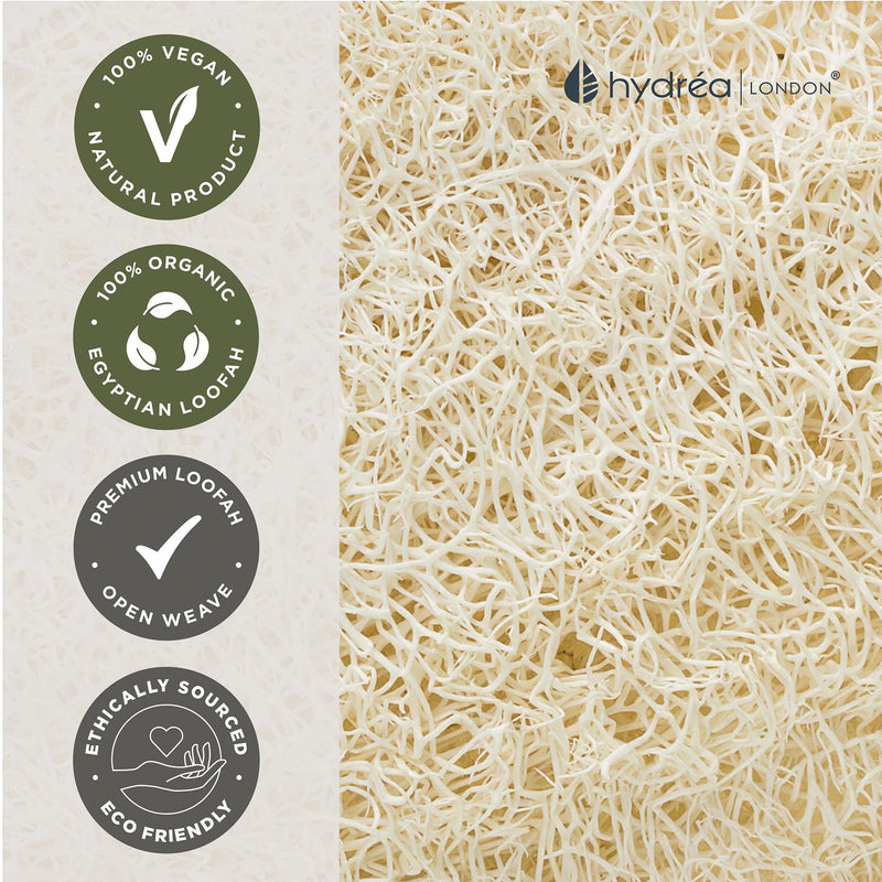 Hydréa London oval exfoliating loofah body pad, UK version
