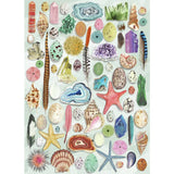 Gibsons jigsaw puzzle Natural Curiosities 1000 pieces, imported from the UK