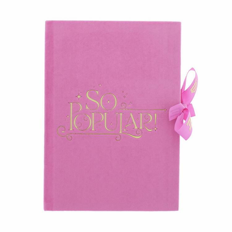 Wicked pink A5 casebound notebook, UK version