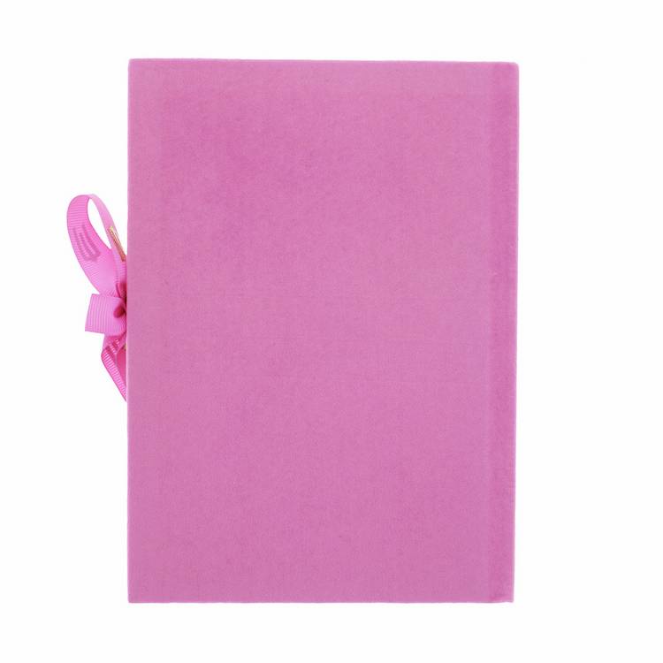Wicked pink A5 casebound notebook, UK version