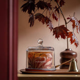 Argos Habitat x Morris & Co. Large Candle - Oak & Fallen Acorn- Buy online at McGrocer