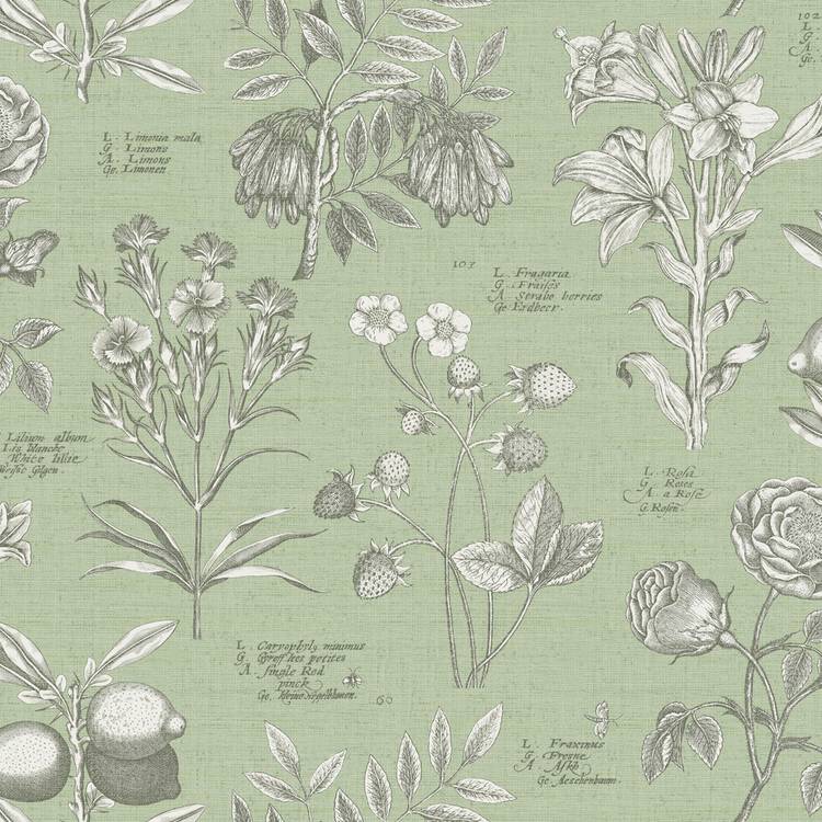 RHS Botanical Sketchbook Sage wallpaper 50cm x 10m (British brand)