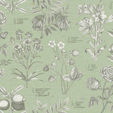 RHS Botanical Sketchbook Sage wallpaper 50cm x 10m (British brand)