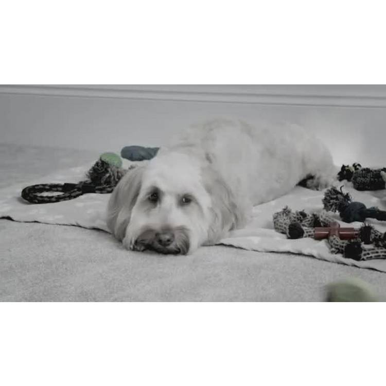 JML Woof Glider dog toy with flat base, UK version