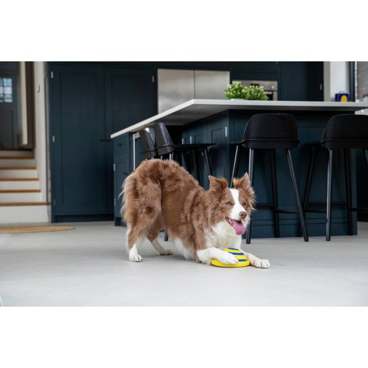 JML Woof Glider dog toy with flat base, UK version