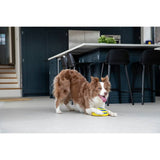 JML Woof Glider dog toy with flat base, UK version