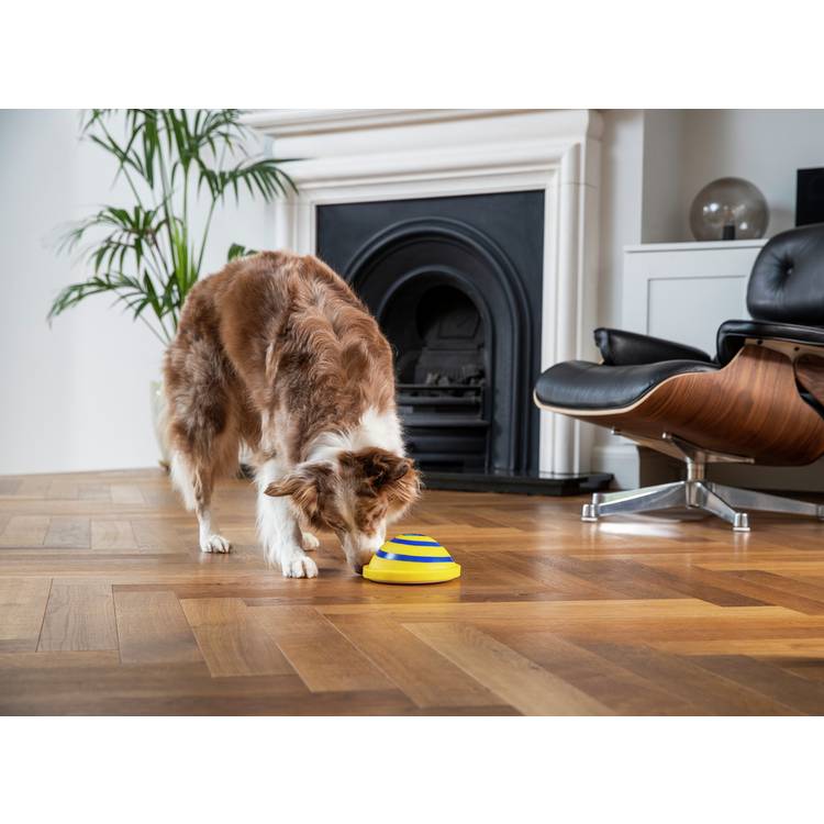 JML Woof Glider dog toy with flat base, UK version