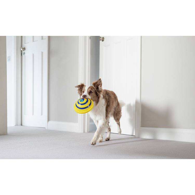 JML Woof Glider dog toy with flat base, UK version