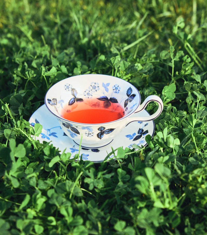 Wedgwood Wild Strawberry Inky Blue teacup and saucer (British brand)
