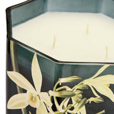 Argos Home large multiwick candle honey and sandalwood (British brand)