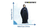 Star Cutouts Severus Snape life-size cardboard cutout - British product