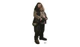 Star Cutouts lifesize Hagrid cardboard cutout H195cm, imported from the UK