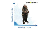 Star Cutouts lifesize Hagrid cardboard cutout H195cm, imported from the UK