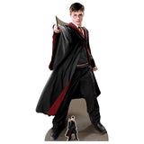 Star Cutouts Harry Potter Quidditch cardboard cutout (British brand)