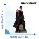 Star Cutouts Harry Potter Quidditch cardboard cutout (British brand)