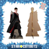 Star Cutouts Harry Potter Quidditch cardboard cutout (British brand)
