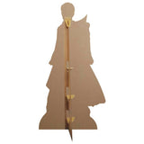 Star Cutouts Harry Potter Quidditch cardboard cutout (British brand)