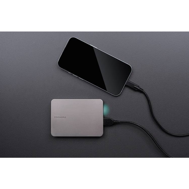 Toshiba Canvio Flex 4TB portable hard drive warm silver, UK version