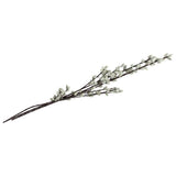 Argos Home artificial cream pussy willow stems 94cm, imported from the UK