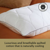 Sealy Dual Comfort memory foam pillow 74x48cm (British brand)