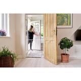 BabyDan Narrow Dan extending safety gate, imported from the UK