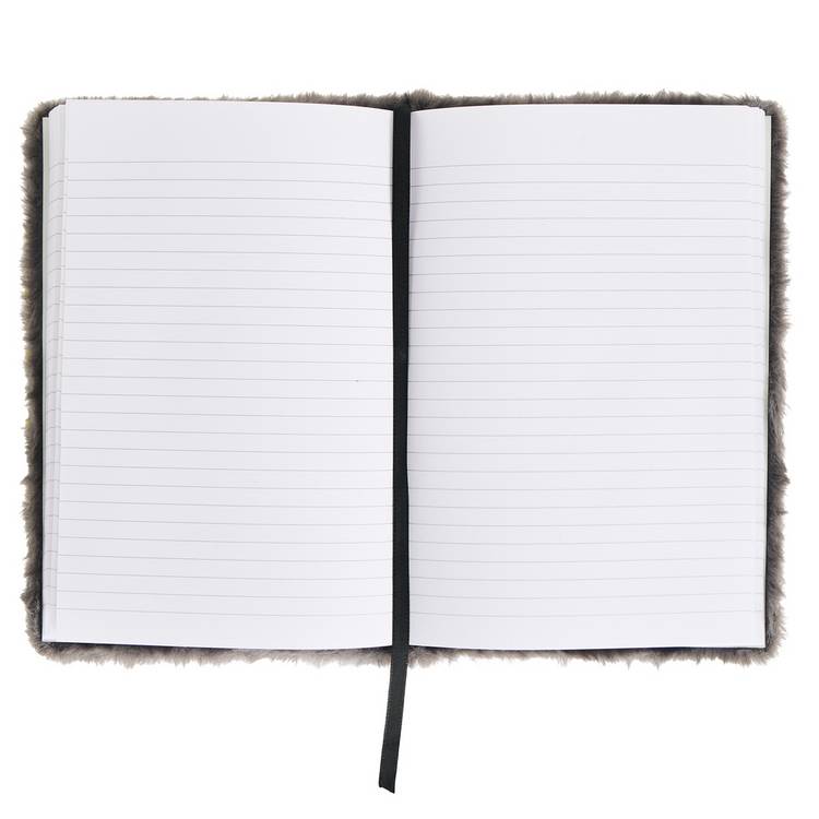 Dinosaur A5 ruled notebook - British product