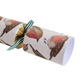 Argos Home luxury robin Christmas crackers pack of 6, UK version