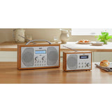 Bush DAB FM Bluetooth portable radio (British brand)