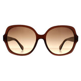 Superdrug Calvin Klein CK19538S Brown Gradient Women Sunglasses- Buy online at McGrocer