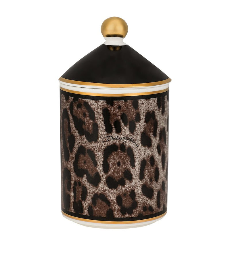 Dolce&Gabbana Casa Leopardo patchouli candle 340g - British product