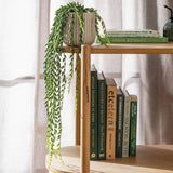 Argos Habitat Artificial Green Succulent in Cream Ceramic Pot, 56cm- Buy online at McGrocer