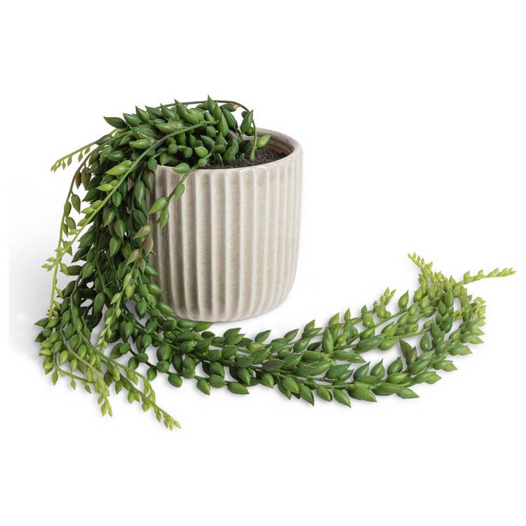 Habitat artificial green succulent in cream ceramic pot H56cm, UK version