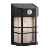 Solar sensor wall light black plastic 100 lumens, UK version