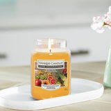 Argos Yankee Candle Exotic Fruits Large Scented Candle- Buy online at McGrocer