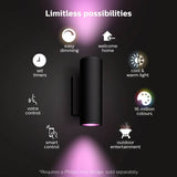 Philips Hue Appear outdoor wall light (British brand)