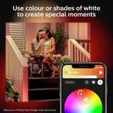 Philips Hue Floodlight black (British brand)