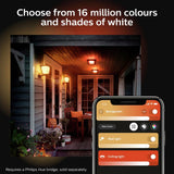 Philips Hue Econic outdoor wall light black, imported from the UK