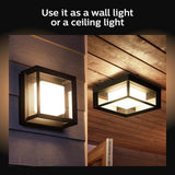 Philips Hue Econic outdoor wall light black, imported from the UK