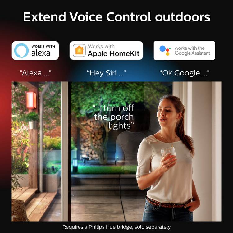 Philips Hue Econic outdoor wall light black, imported from the UK