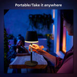 Philips Hue Go portable smart lamp black, imported from the UK