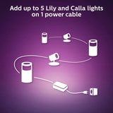 Philips Hue Lily outdoor spotlight extension - British product