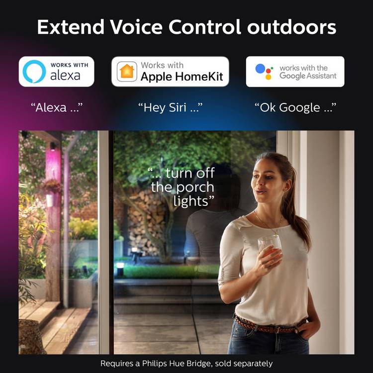 Philips Hue Lily outdoor spotlight extension - British product