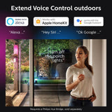 Philips Hue Lily outdoor spotlight extension - British product