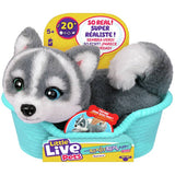 Argos Little Live Pets My Really Real Puppy Minis Aurora Interactive Pet Toy- Buy online at McGrocer