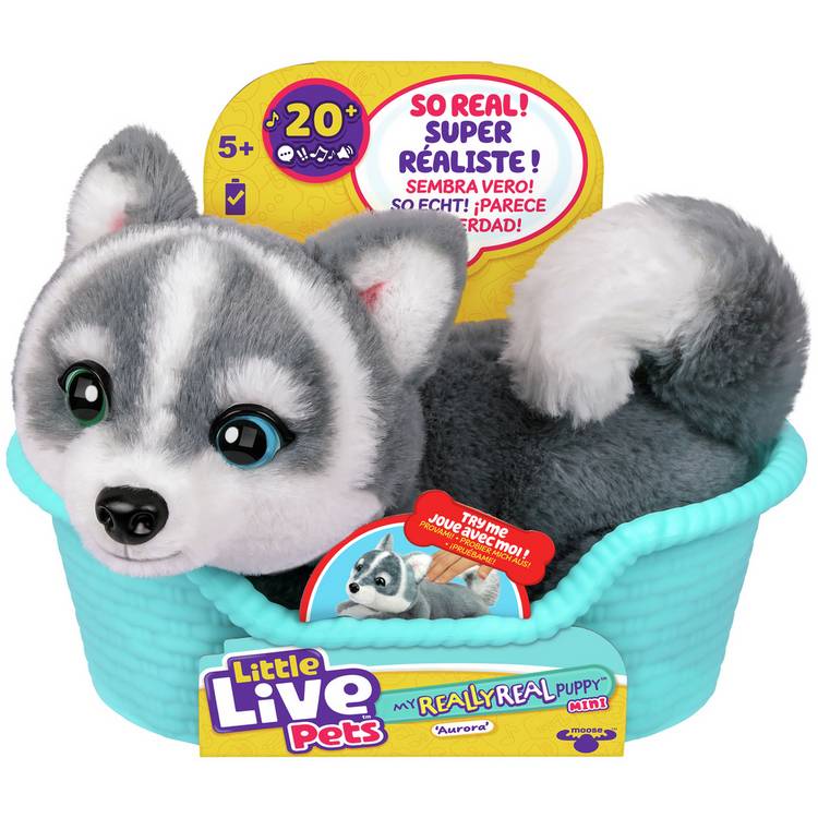 Little Live Pets interactive toy puppy Aurora mini, UK version